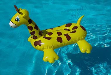 žirafa v bazénu
